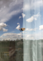 Close up of insect eggs on a glass window with the sky reflected. Moth eggs.
