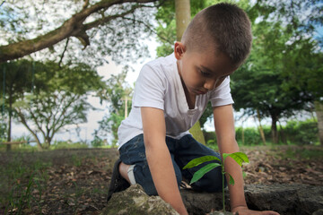 child kneeling down sowing plant in the field