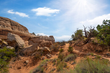 Red rock landscape in Utah