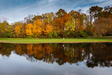 My Pond in Fall