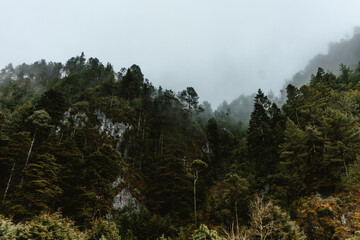 lagoon in the middle of the forest with fog and very cold