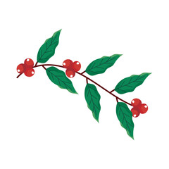 coffee branch with beans