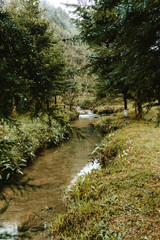 rivers between mountains with a lot of fog, cold and humidity