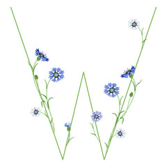 Beautiful letter W with blooming branches of cornflower or knapweed plant (Centaurea). Floral font. Botanical alphabet with blue flowers. - obrazy, fototapety, plakaty