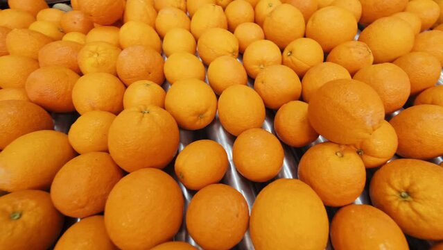 Oranges rolling on grading and sorting machine in industrial packaging plant. 4K. 1