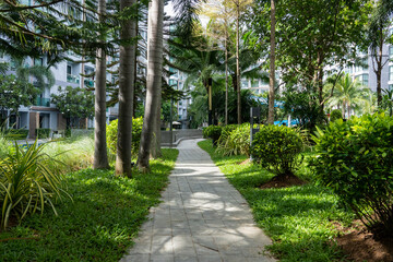 The path going among the palms and trees in the resort.