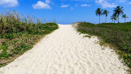 sand dunes on the beach