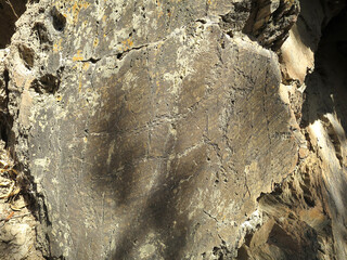 The Prehistoric Rock Art of a horse in Canada do Inferno, Coa Valley Archaeological Park, PORTUGAL