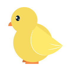 cute chicken icon