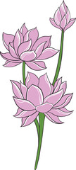 classic style lotus flower vector design, color editable