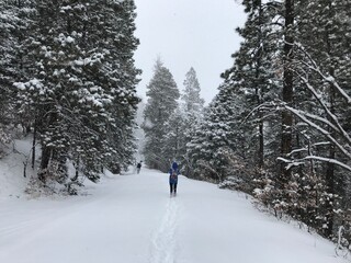 mostly nature