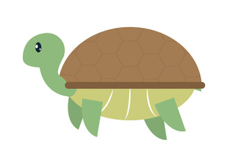 cute turtle icon