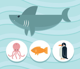 cute animals icon collection