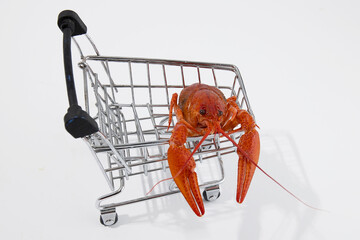 Boiled red crayfish lobsters on a shopping basket, funny photo for supermarkets and shopping