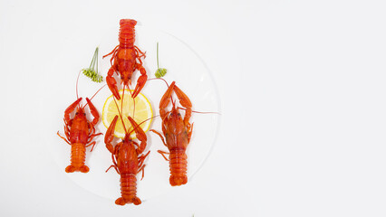 Restaurant serving of a delicacy - boiled red crayfish lobsters on a white plate with symmetry