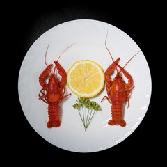 Restaurant serving of a delicacy - boiled red crayfish lobsters on a white plate with symmetry