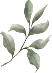 Leaf Watercolor Illustration