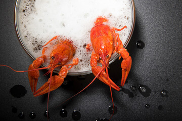 Boiled red crayfish - an appetizer bathed in beer like in a sauna or bubble bath, creative funny...