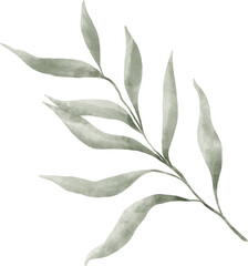 Obraz premium Leaf Watercolor Illustration