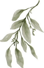 Leaf Watercolor Illustration