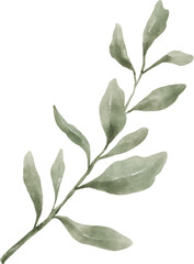 Leaf Watercolor Illustration