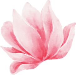 Fototapeta na wymiar Pink Flower Watercolor
