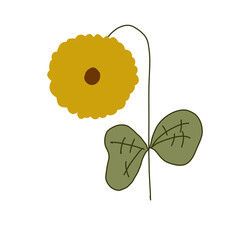 Flower doodle color 