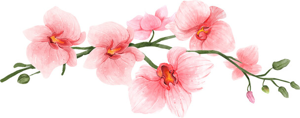 Pink Orchid Branch Watercolor