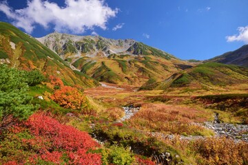 Autumn scenery in Tateyama alpine, Toyama