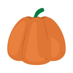 pumpkin vegetable icon