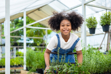 Portrait of African kid is choosing vegetable and herb plant from the local garden center nursery with shopping cart full of summer plant for weekend gardening and outdoor concept
