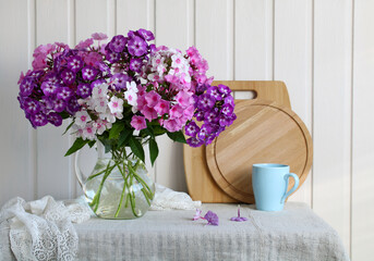 Still Life with Colorful Phlox in a White Interior.
