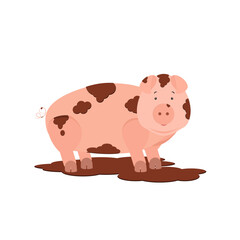 Pig Design Very Cute Animal