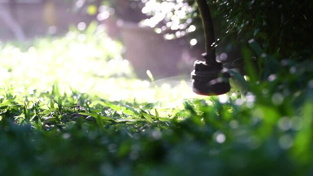 spinning nylon string parallel to the grass-level slow-motion clip, Trimming the excess grass with a brushcutter
