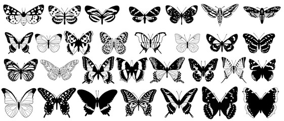 vector drawing collection of butterflies, monochrome elements isolated at white background, hand drawn illustration