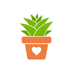 Vector cactus in potted plant. Cactus A variety of succulent plants that are popular to grow
