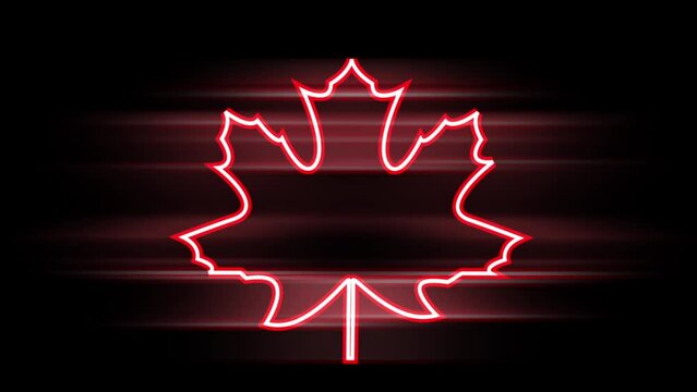 Maple leaf in neon style