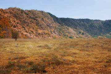 Meadow field with hills