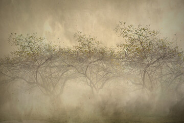 Obraz na płótnie Canvas Meadow field with trees
