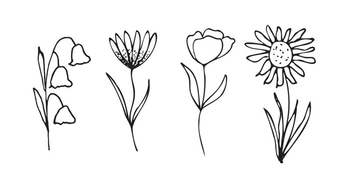 Doodle hand drawn vector flowres. 