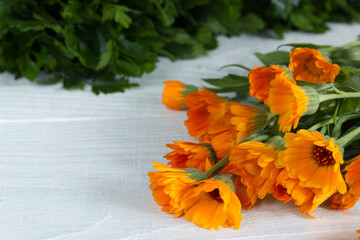 calendula on the table