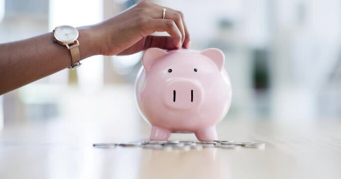 Finance, money and piggy bank cash investments for future financial wealth growth and small business startup budget. Insurance, hand and woman depositing coins, savings or profit for change inflation