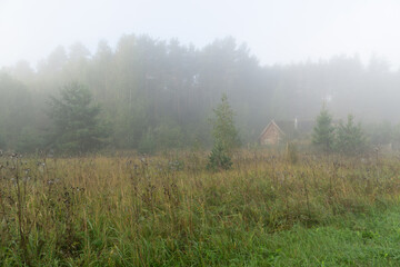 Foggy morning rural road