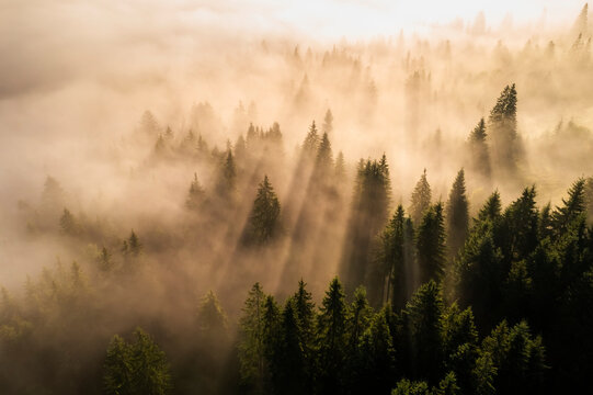 Aerial view of foggy sunrise in the mountains. Summer mountains.