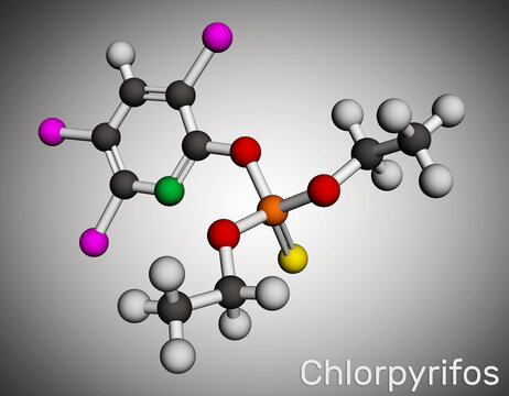 Chlorpyrifos, CPS molecule. It is organophosphate neurotoxicant, used as pesticide. Molecular model. 3D rendering