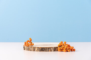 Wood podium saw cut of tree on orange background with  autumn rowan berries. Concept scene stage...