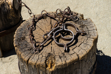Metal medieval ancient handcuffs on a tree cut, on a stump. Punishment. Chain for dying. Old shackles on a stump. Old shackle with chain made of steel lying on old round stump standing on the ground.  - obrazy, fototapety, plakaty