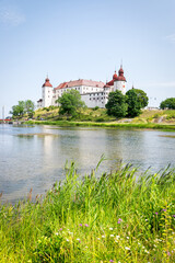 Fototapeta na wymiar Lacko castle - summer vertical view
