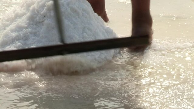 Barefoot feet of a man next to heap of salt being removed from the salt pan, traditional work in the process of making natural salt
