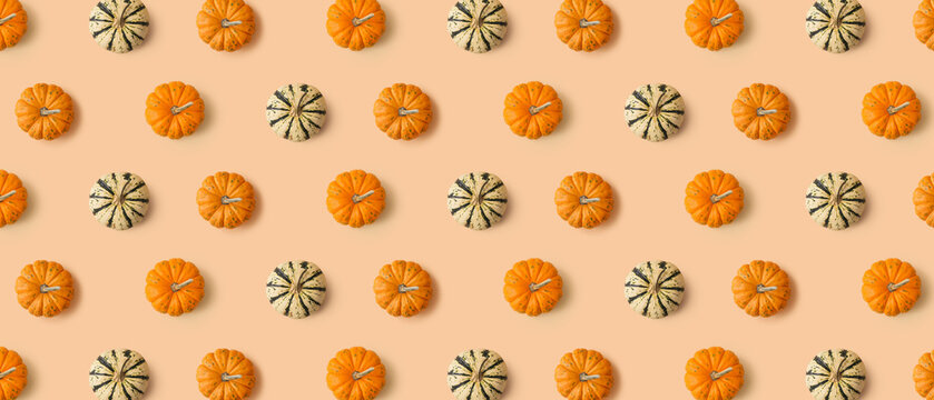 Many pumpkins on beige background. Pattern for design